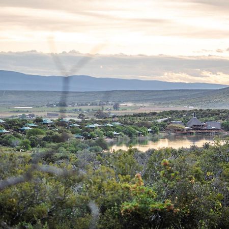 Buffelsdrift Game Lodge オーツホーン エクステリア 写真