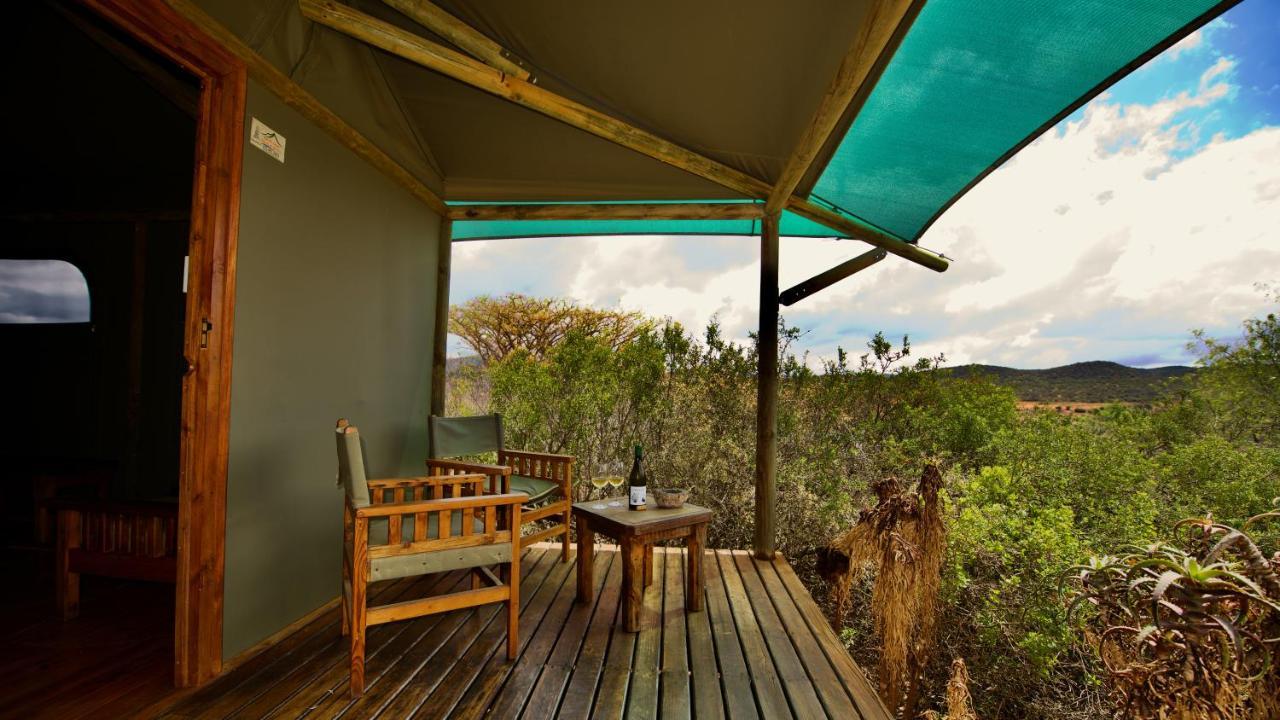Buffelsdrift Game Lodge オーツホーン エクステリア 写真