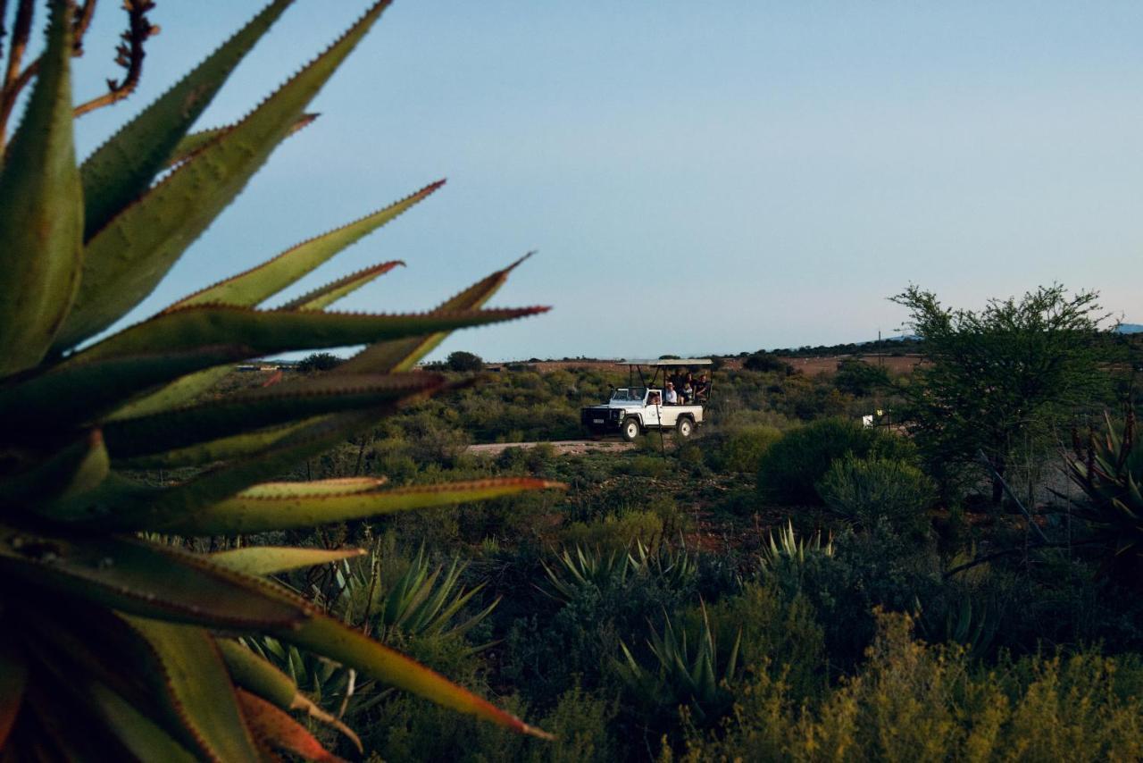 Buffelsdrift Game Lodge オーツホーン エクステリア 写真