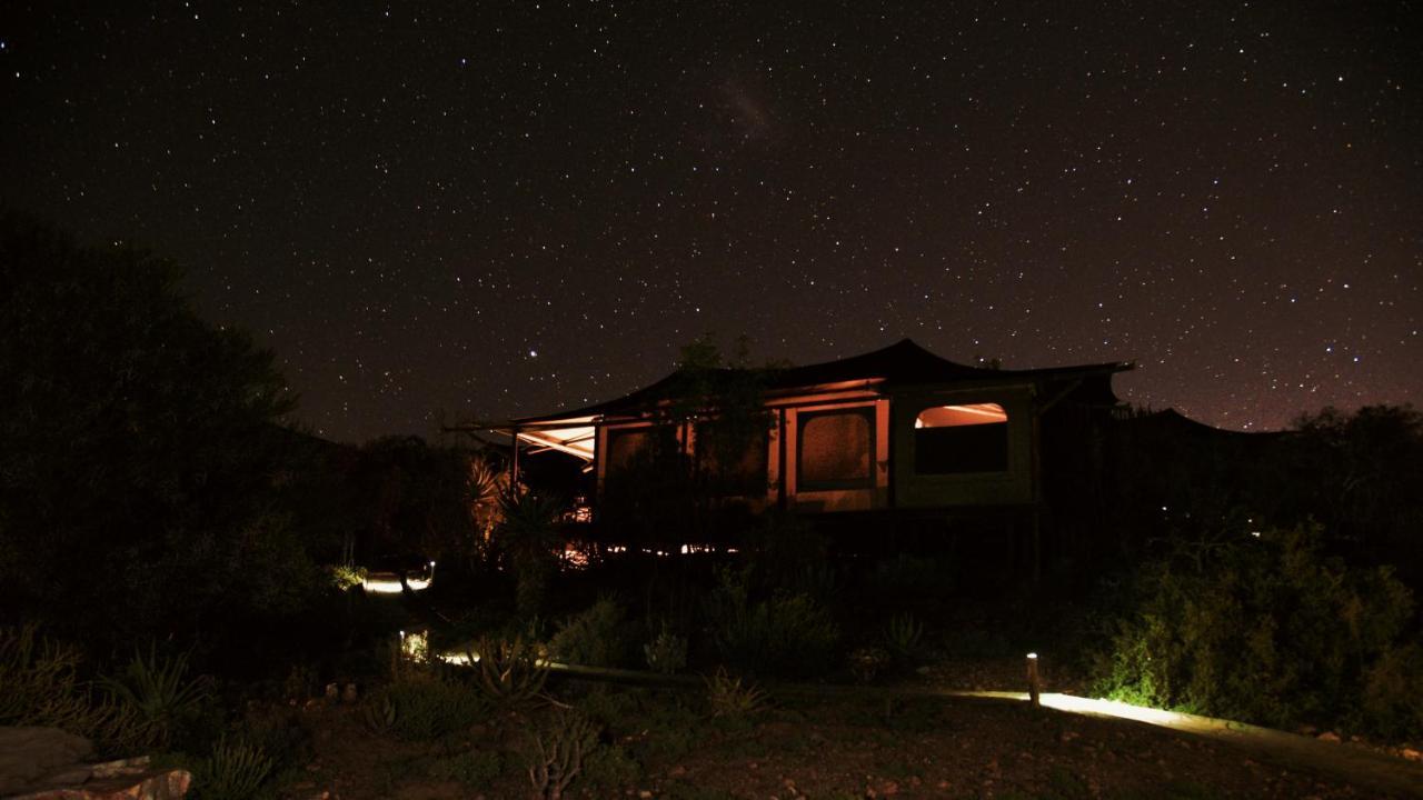Buffelsdrift Game Lodge オーツホーン エクステリア 写真