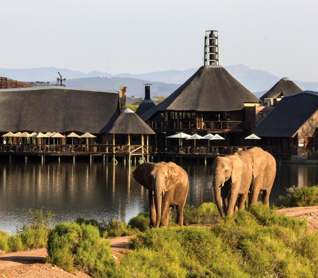 Buffelsdrift Game Lodge オーツホーン エクステリア 写真