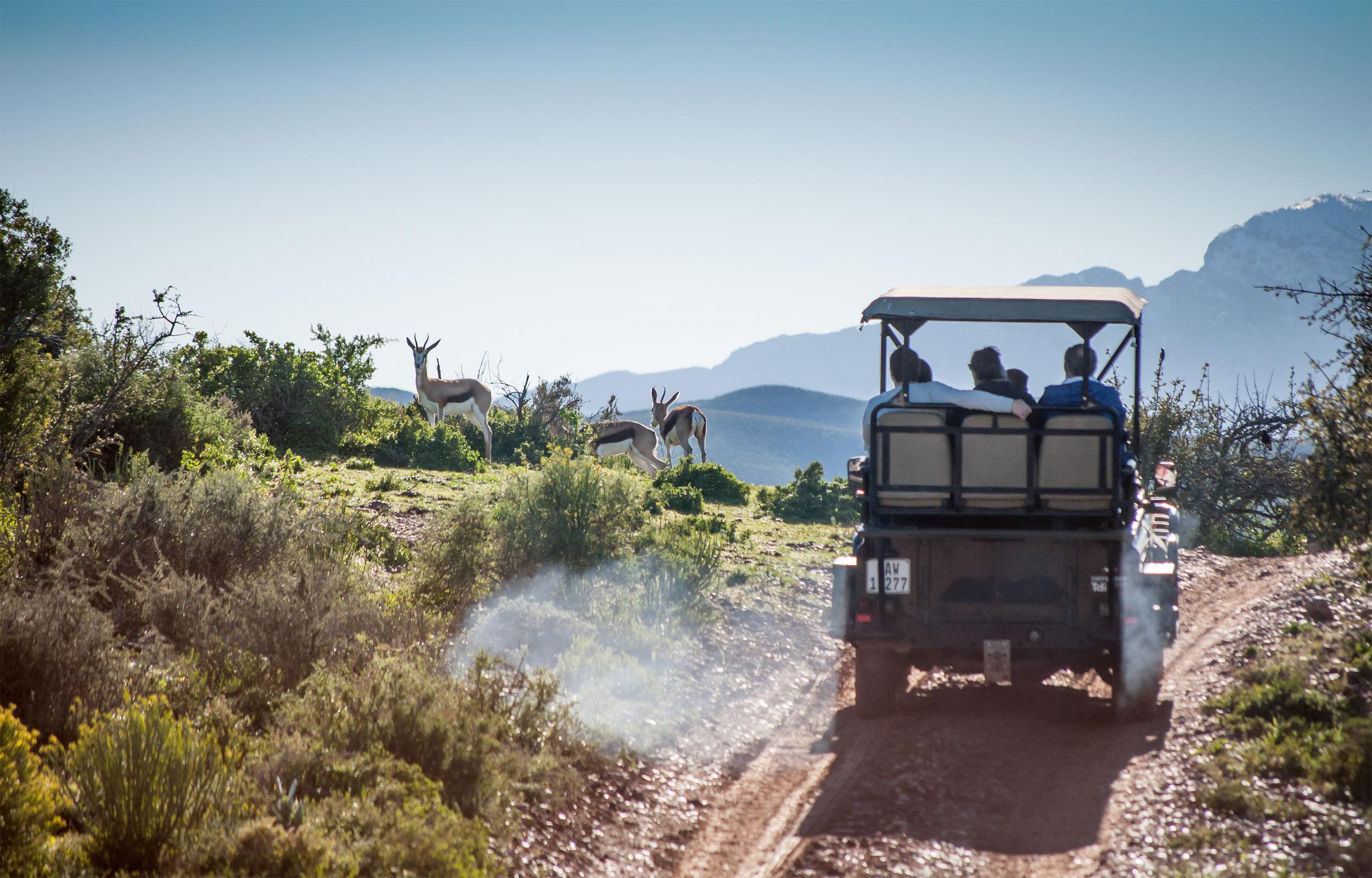 Buffelsdrift Game Lodge オーツホーン エクステリア 写真