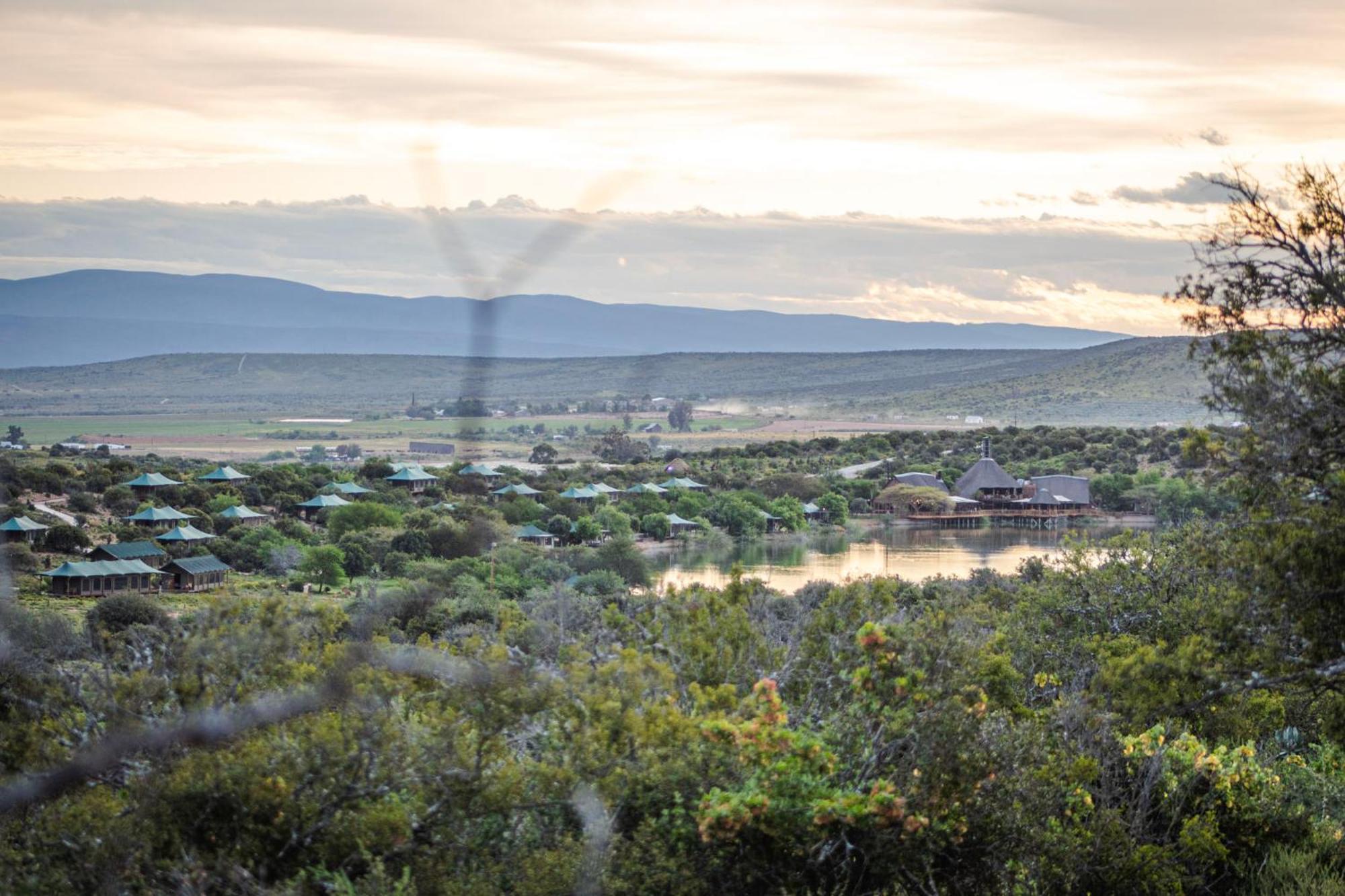 Buffelsdrift Game Lodge オーツホーン エクステリア 写真