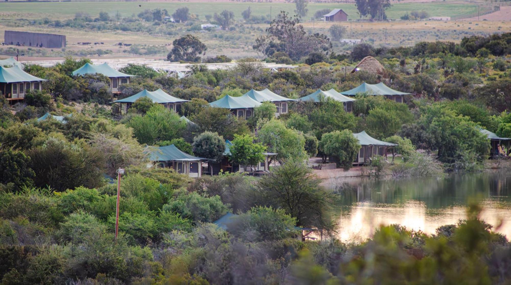 Buffelsdrift Game Lodge オーツホーン エクステリア 写真