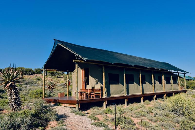 Buffelsdrift Game Lodge オーツホーン 部屋 写真