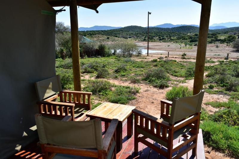 Buffelsdrift Game Lodge オーツホーン 部屋 写真