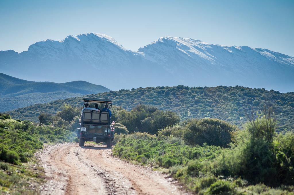 Buffelsdrift Game Lodge オーツホーン エクステリア 写真