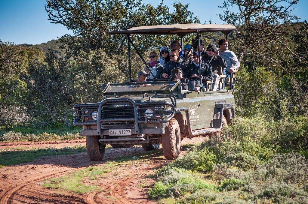 Buffelsdrift Game Lodge オーツホーン エクステリア 写真