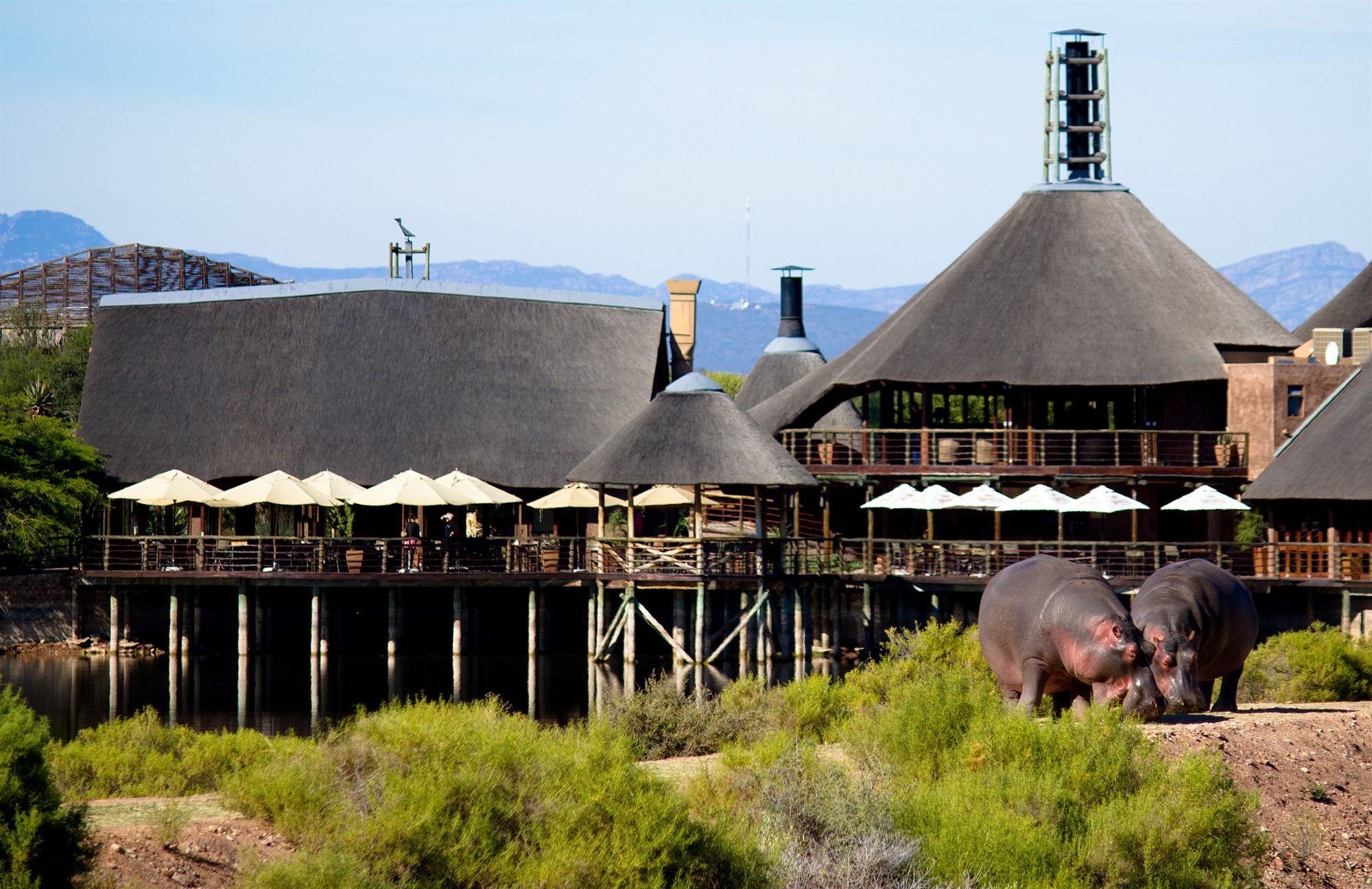 Buffelsdrift Game Lodge オーツホーン エクステリア 写真